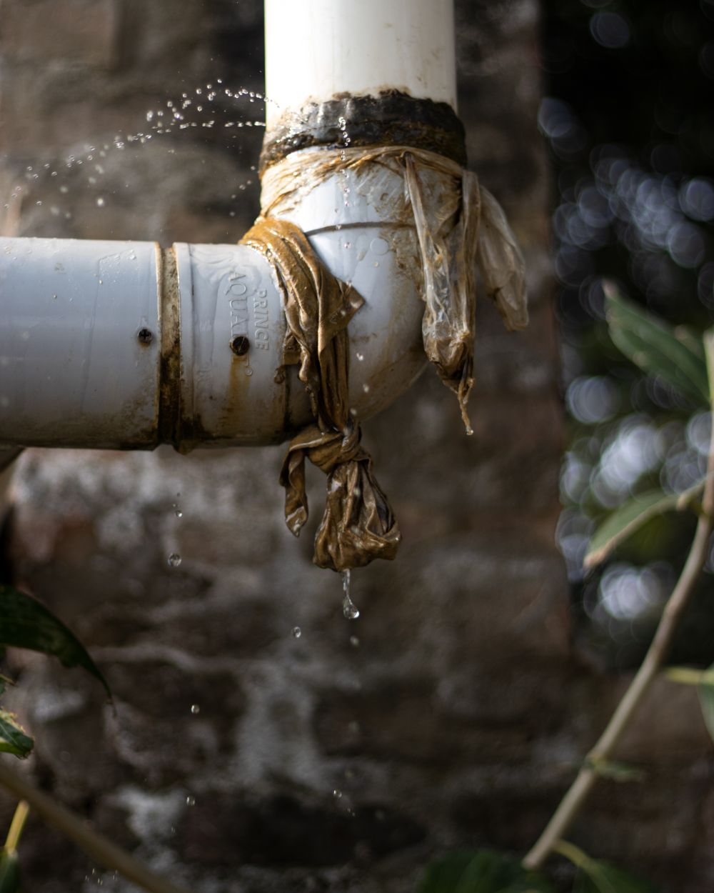 Leaking plastic water pipe with water dripping from a worn joint